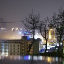 달맞이밤 이미지