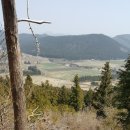 선흘하루 이미지