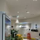 레몬사우나 이미지