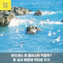 남항진해변 이미지