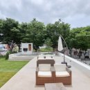스테이플레도