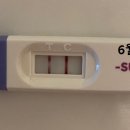 도로시여성의원 이미지