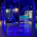부용로214번길(효자초등학교주변) | 의정부 천문대 야간관측 예약 경기도 의정부 아이와 가볼만한곳