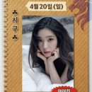 롯데대구시리즈 이미지