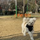 피피 킨더가든 네이버블로그