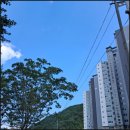 일반 행정사 사무실 이미지