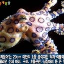 (주)파란제주 이미지