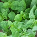 예정농장 이미지