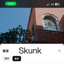 ATTITUDE / 250203 / Skunk 이미지