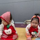 지영 농장 | 잠실 롯데백화점 문화센터 가을학기 촉감놀이 베이비붐 후기