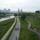 안양천(좌안) 이미지