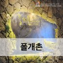 폴개촌 이미지