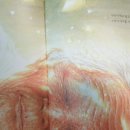 자라는 씨앗-기다림 이미지