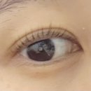 더썸뷰티 | 강남역속눈썹펌 추천 / 더썸뷰티 강남본점 속눈썹펌 후기