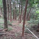 숲속애 휴가 이미지