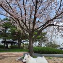 우리가축병원 이미지