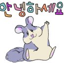 새러데이런치클럽 이미지