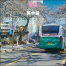 한산대첩광장 공중화장실(지하) | 통영 봉수골(2025.04): 봉리단길이라고 불러다오