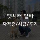 펫시터(반려견) 자격증 과정 | 펫시터 알바, 자격증 필수일까? 2026년 시급과 어플 후기