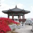 판교 통일신라~고려고분군 이미지