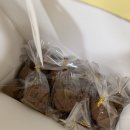 영월스키 | Diary, 설에 스키타고 온 뮤잔디