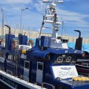 도니야돈 | 안슨장호 가자미 체험｜도시어부에도 나온 낚시 체험