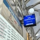 사임당푸드 | [강릉 맛집] 강릉 중앙시장 먹거리 추천 사임당오징어순대 (+집에서 먹을수 있는 꿀팁 포함!)