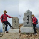 갑수씨랑 밀양 가지산(1241m)산행(2021.3.25. 수) 산행 이미지