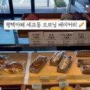 오브닝(ovening) 이미지