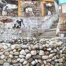 천덕수 우물 앞 이미지