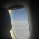 아이언피쉬 | 런던 신혼여행 1일차 2일차 코스 🇬🇧 빅벤·웨스트민스터·버킹엄궁전·플랫아이언 맛집 후기