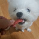 구름이네 까까 이미지