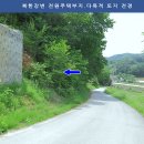 상촌유원지 Daum카페