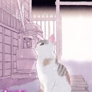 고양이 주택 이미지