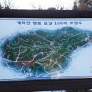 가든정경