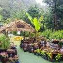 산이농원 이미지