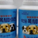 병아리약국 이미지