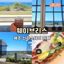 이호웨이브 | 제주 이호 카페 신라스테이 웨이브리스 수영장 이용하는 방법 숙박X