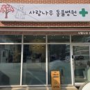 사랑동물병원 | 가평 친절한 강아지 병원 추천 중성화 수술 문의 진료상담 다녀온 후기 - 사랑나무동물병원