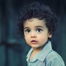 변호사이철희법률사무소