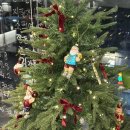 W PT STUDIO | [염창역 PT] 솔핏 피티 7,8회차 후기: 무너진 발 아치 교정과 체형별 맞춤 운동법!