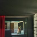 히든래빗 이미지