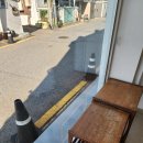 단풍스시 | 수원 행궁동 맛집 타츠미 스시 초밥 내돈내산 후기