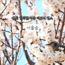 서울숲 주차장 화장실 네이버블로그