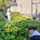 선화네푸소 이미지