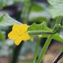 금남농장 이미지