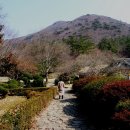 노화읍-1 이미지