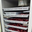 대룡농장 이미지