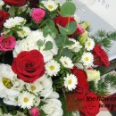 더리시안 이미지