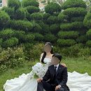 결혼 준비ㅣ부산 경남 창원 가성비 고퀄 웨딩촬영 아이폰 스냅 ‘아모르모멘트’ 내돈내산 후기